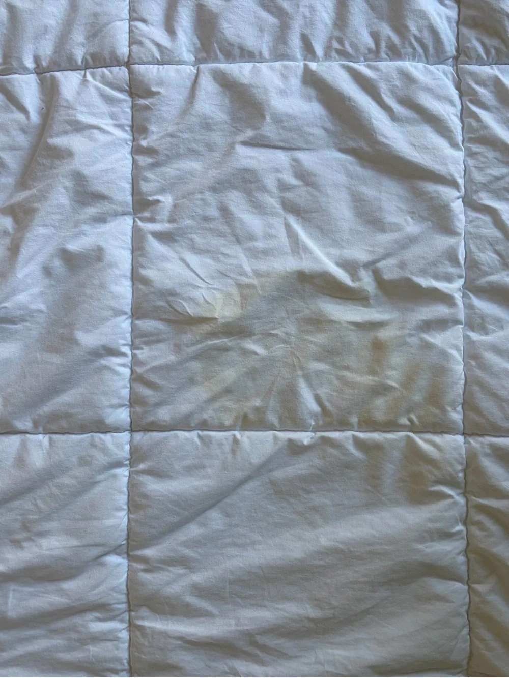 Casaluna Down Alternative Comforter - Full/Queen